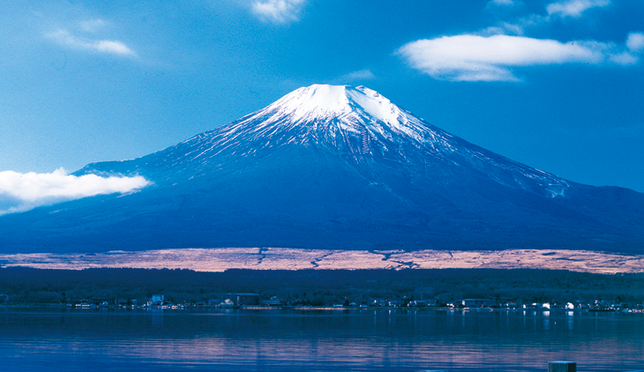 Majestic Mt. Fuji: a one-day sightseeing plan by bus