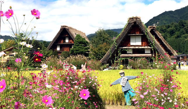 Explore the World Heritage Sites of Shirakawa-go & Takayama