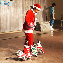 橫濱八景島海島樂園聖誕企鵝遊行