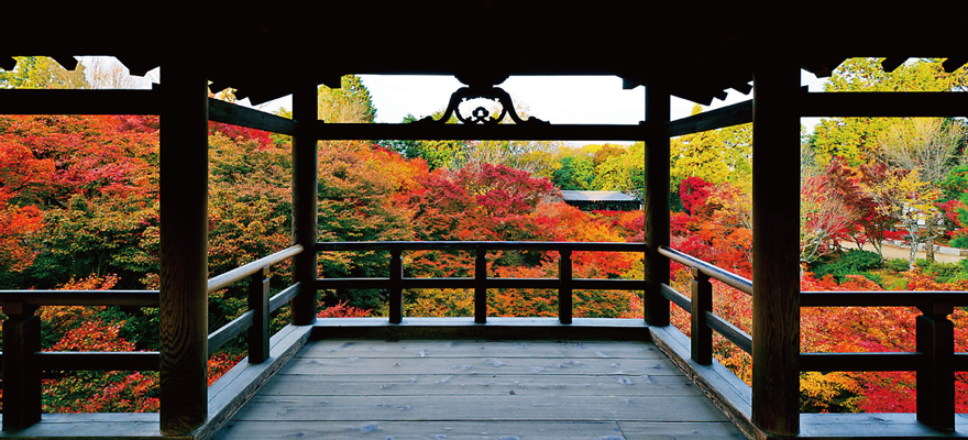Best Fall Colors in Kyoto