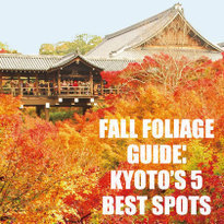 Kyoto&#039;s Fall Top 5!