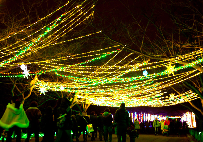 Glittering Light Festivals! 6 Must-See Winter Illuminations in Osaka ...