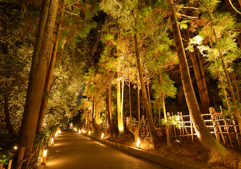 京都・嵐山花灯路　灯りと花の路