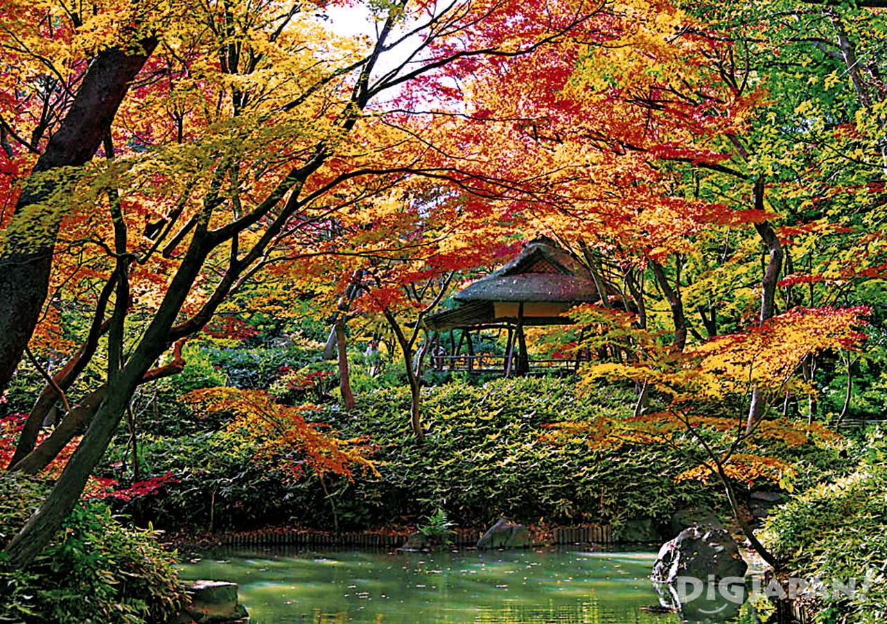 Beautiful fall colors in Rikugien in Tokyo