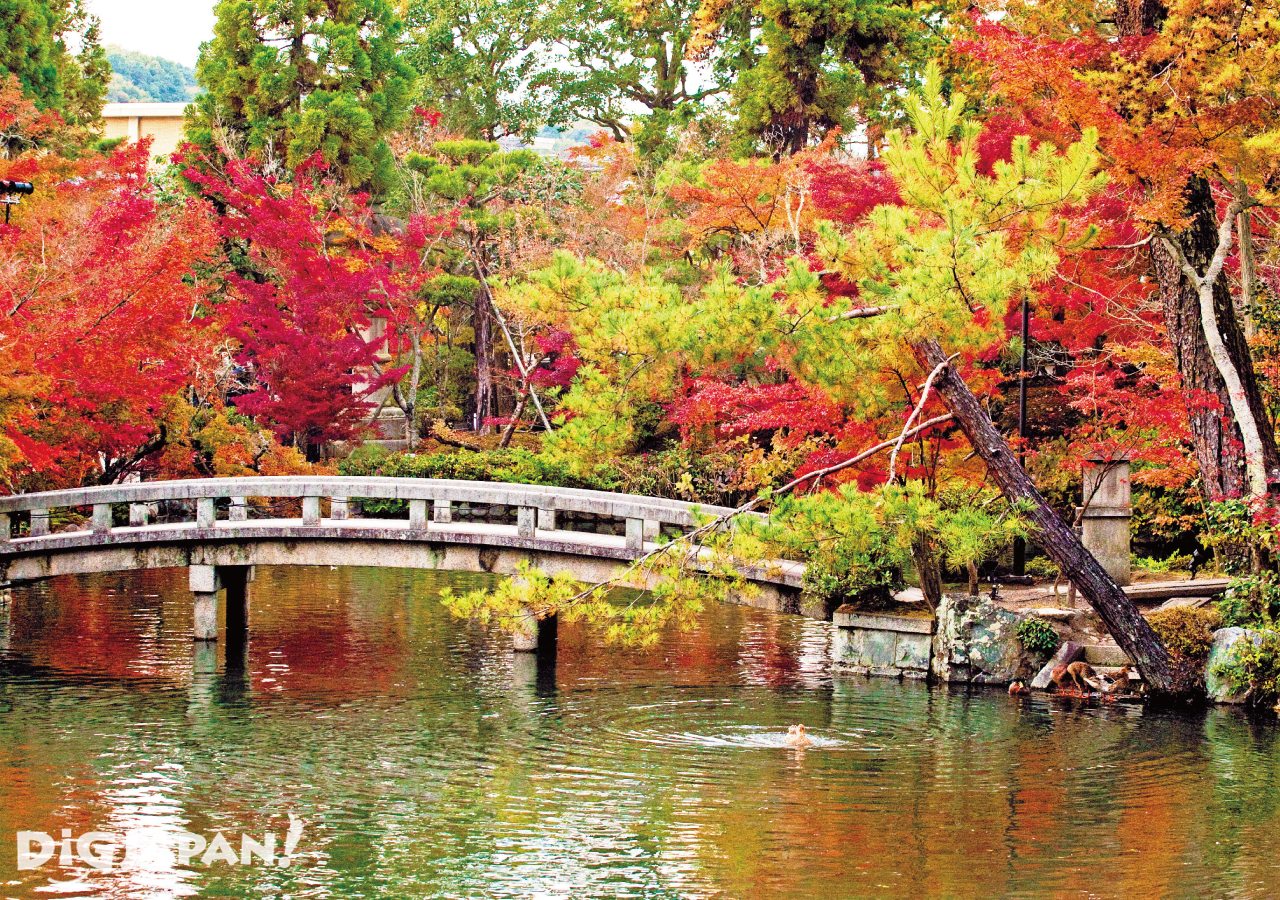 京都必看楓葉景點-永觀堂