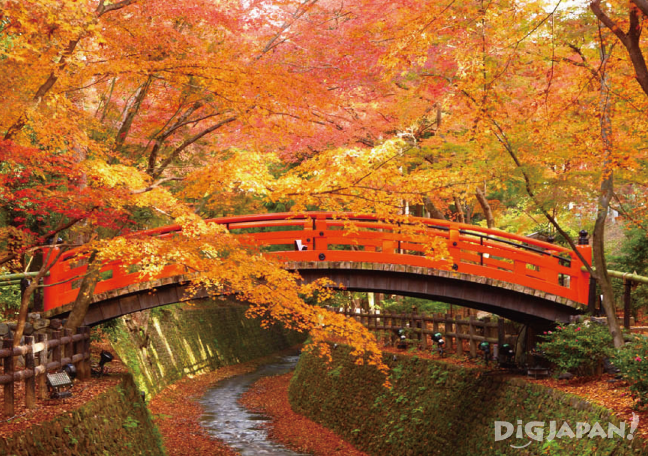 Kitano Tenmangu Shrine in the autumn 