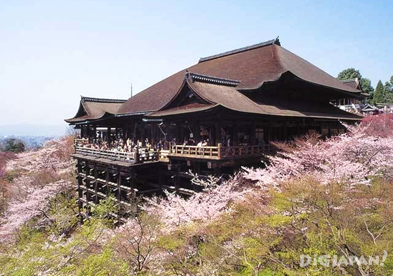 Sakura at Kiyomizu-dera