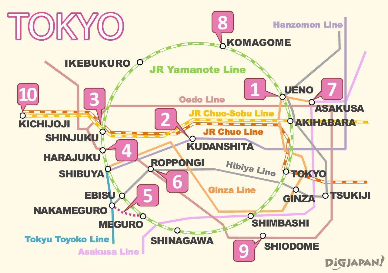 Tokyo Sakura Map