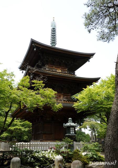 Gotoku-ji Temple Tokyo Maneki Neko_3
