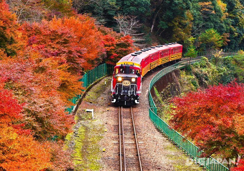 Real Japanese Zen And Culture With Kyoto S Romantic Train Virail Travel Blog