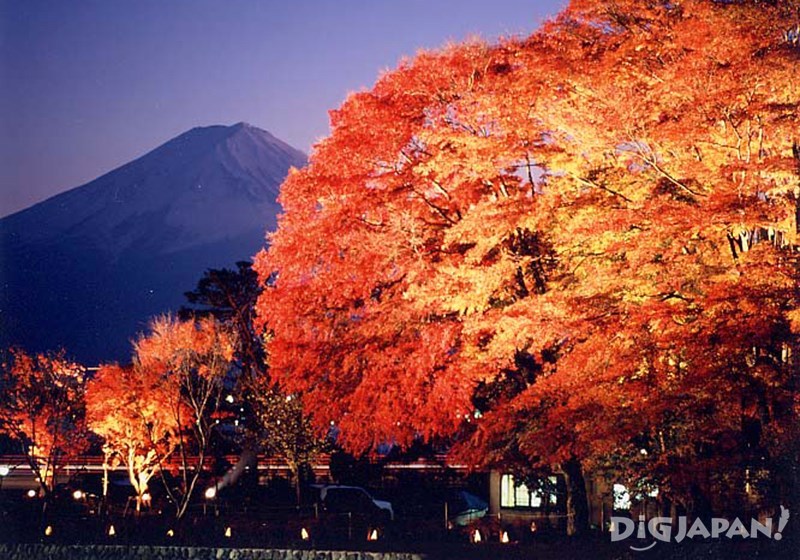 Momiji Corridor lit up at night with Mt. Fuji in the background