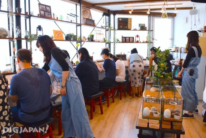The inside of HARRY hedgehog cafe on a typical day