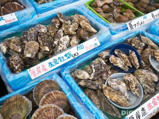 Shellfish at Hakodate Morning Market