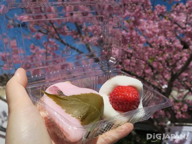拍下應景的櫻花特色美食