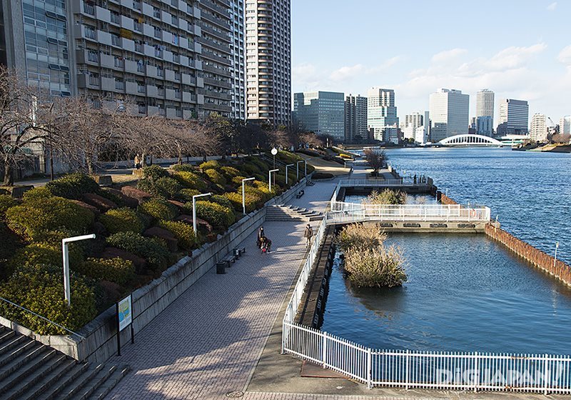 Sumida River Terrace_5