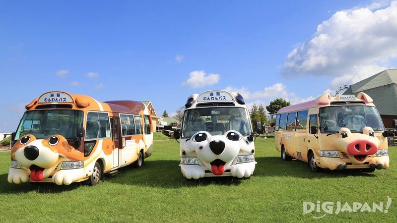 Mother Farm sightseeing buses