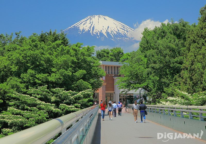 「夢の大橋」付近は富士山の絶景撮影スポット