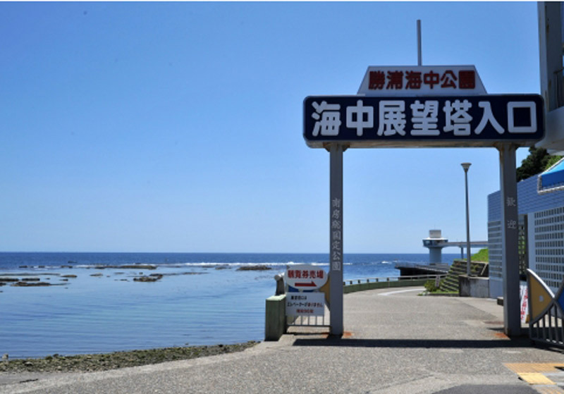 Katsuura Under Sea Park3