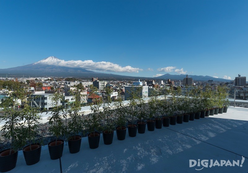Open terrace, Mt. Fuji World Heritage Centre in Shizuoka, Japan