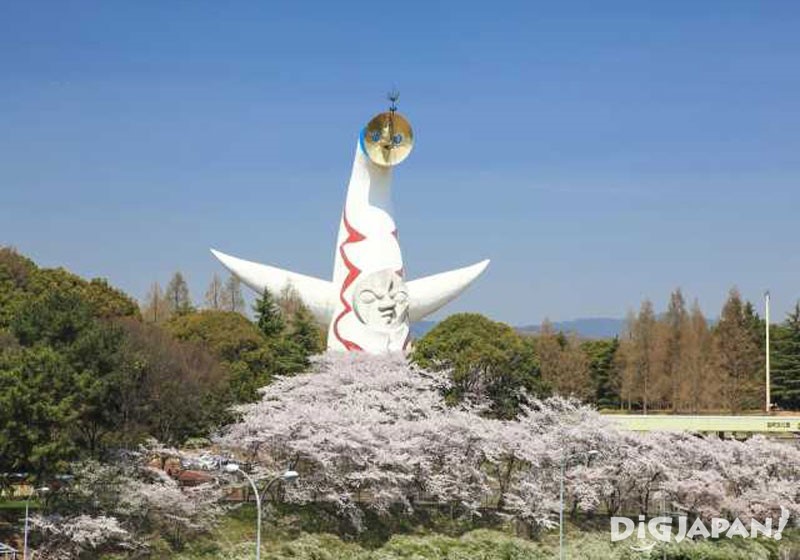 万博記念公園　太陽の塔と桜