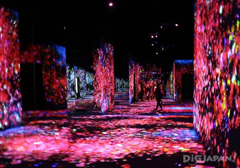 Borderless World:  Flower Forest, Lost, Immersed and Reborn