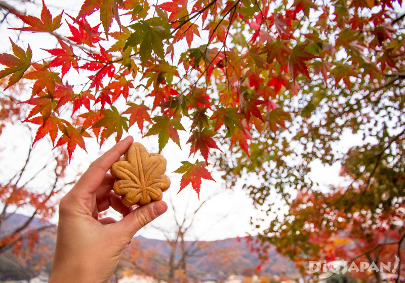 Iconic Views Of Mount Fuji Fuji Kawaguchiko Autumn Leaves Festival Digjapan