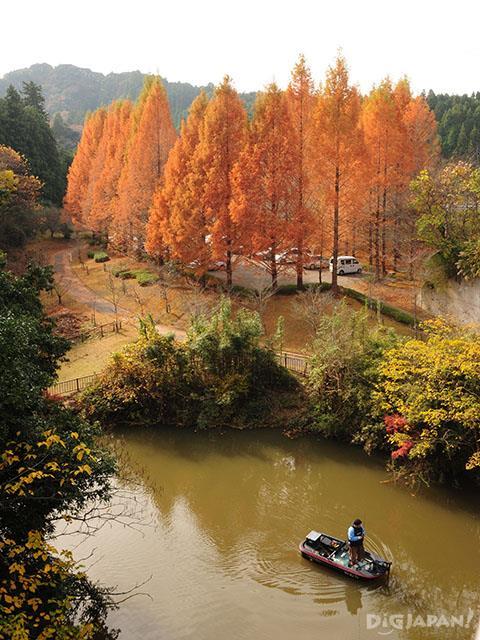 Autumn leaves at Lake Kameyama, Chiba