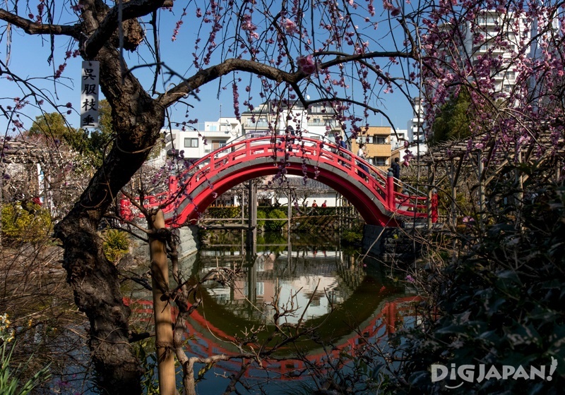The beautiful arched bridges make for a great view.