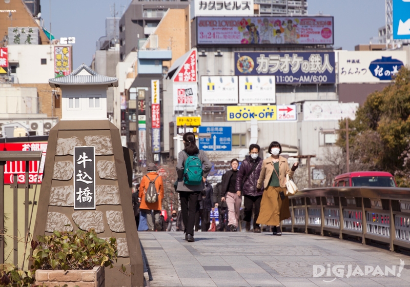 9 สิ่งที่ต้องทำบนถนนสายเก่าแก่ 'คากุระซากะ'