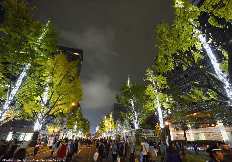 พิธีเปิดงาน Festival of the lights in OSAKA 2016