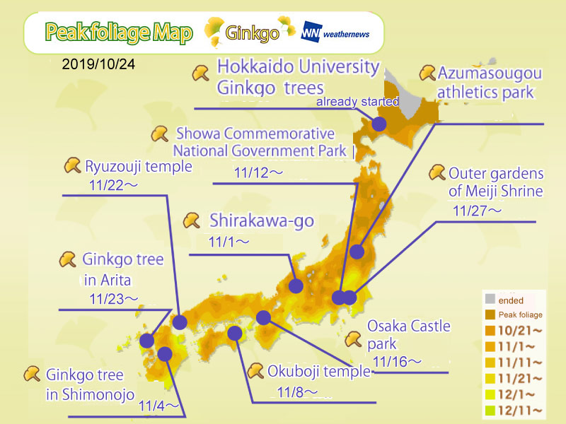 Ginkgo Viewing Time Forecast by Location