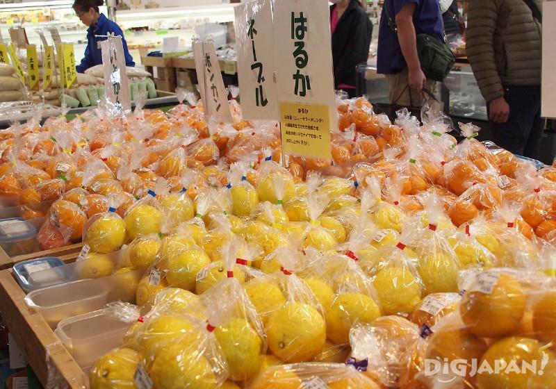 Citrus fruit from food market at Shimogamo Onsen Yu no Hana Roadside station