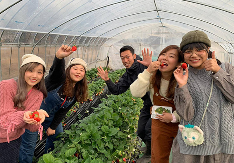 딸기 수확 체험 | 요시무라 농원