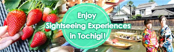 Enjoy Sightseeing Experiences in Tochigi!