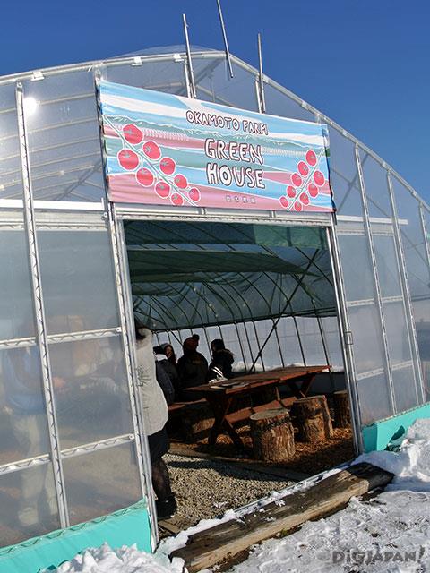 มะเขือเทศรางวัลระดับโลกที่ Okamoto Farm