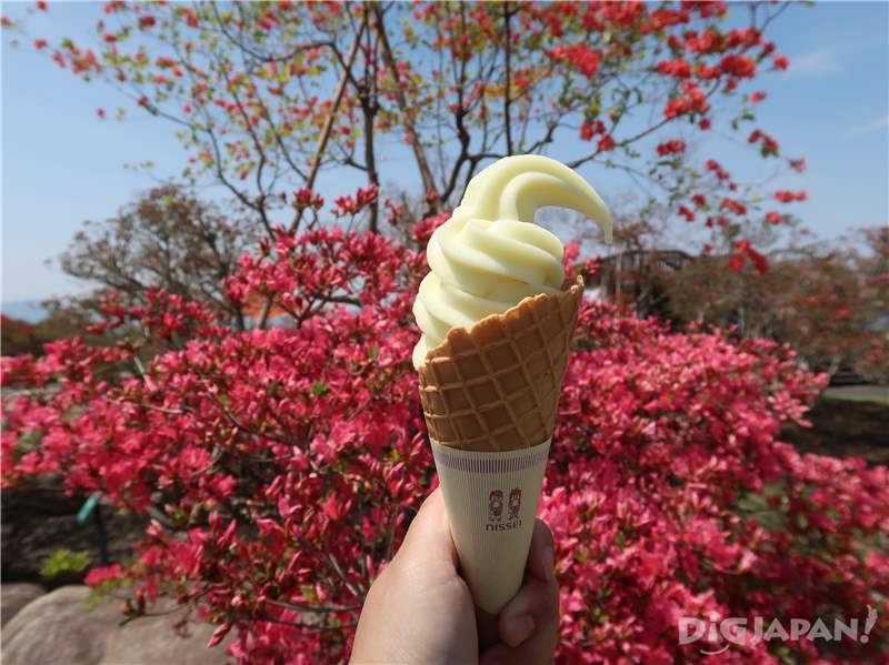  Local specialties like soft-serve ice cream