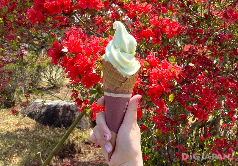 茨城県特産のメロンのソフトクリーム