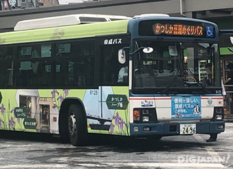 Katsushika Shobu Meguri Bus