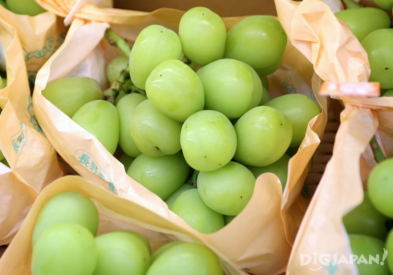 Shine Muscat grapes