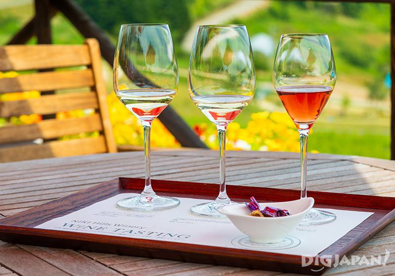 配合不同種類紅酒的特徵，杯子的大小形狀都經過精心挑選