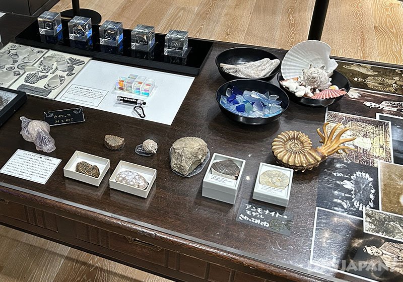 ポップカルチャーや出版物が展示された博物館_3