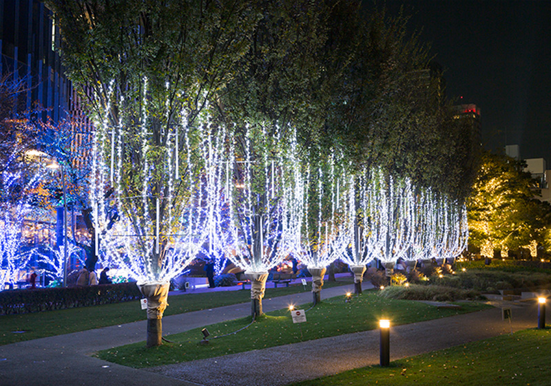 Trees are turned into glasses in this 'champagne illumination'